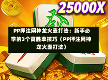 PP押注网神龙火壶打法:新手必学的3个高胜率技巧(PP押注网神龙火壶打法)-第1张图片